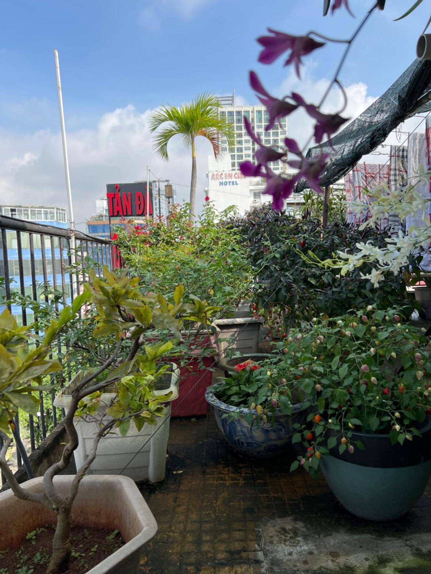 Tan Da Hotel Ho Chi Minh-byen Eksteriør bilde